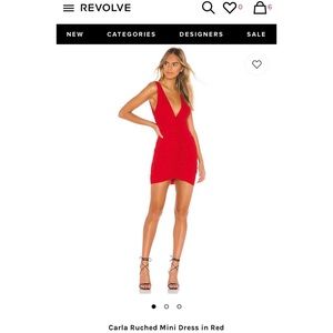 Carla Ruche Mini Dress